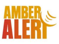 Amber Alert Website
